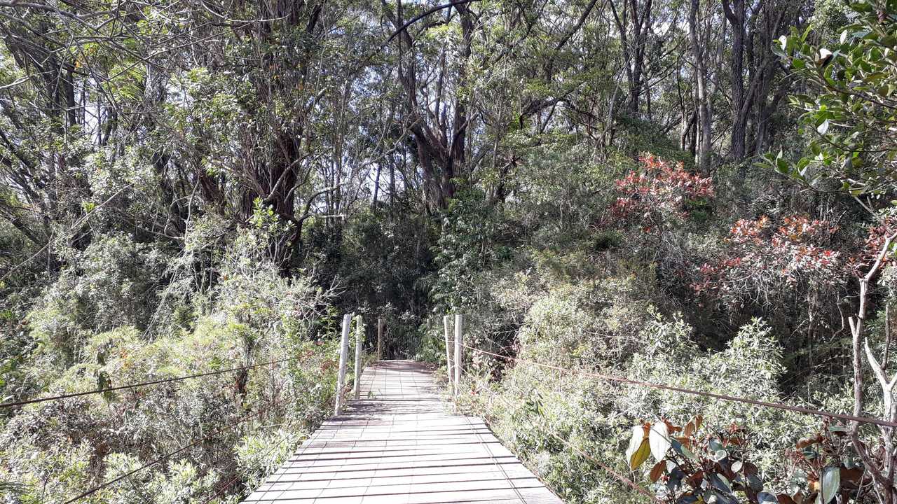 Trilhas e Caminhadas - Turismo de Isolamento no Santuário do Caraça