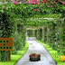 Nature Blush Garden Escape