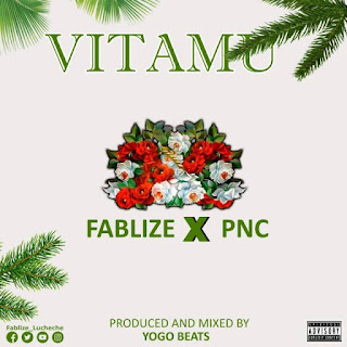 AUDIO | Pnc & Fablize – Vitamu Mp3 Download