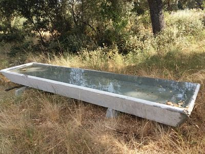 bebedero-con-agua-para-animales-en-campo-hormigon-prefabricado