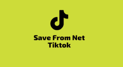 Save From Net TikTok