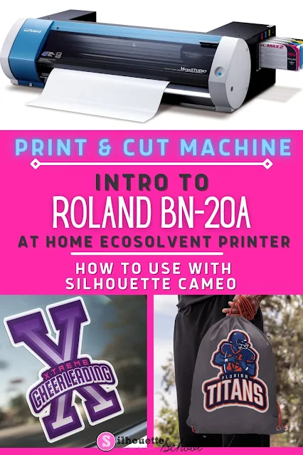 Roland BN20A print and cut vinyl machine
