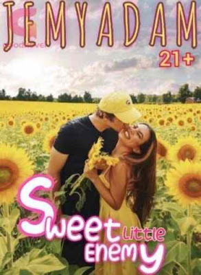 Novel Sweet Little Enemy Karya Jemyadam Full Episode