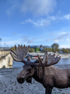 Moose At Pont De Bercy On The Seine