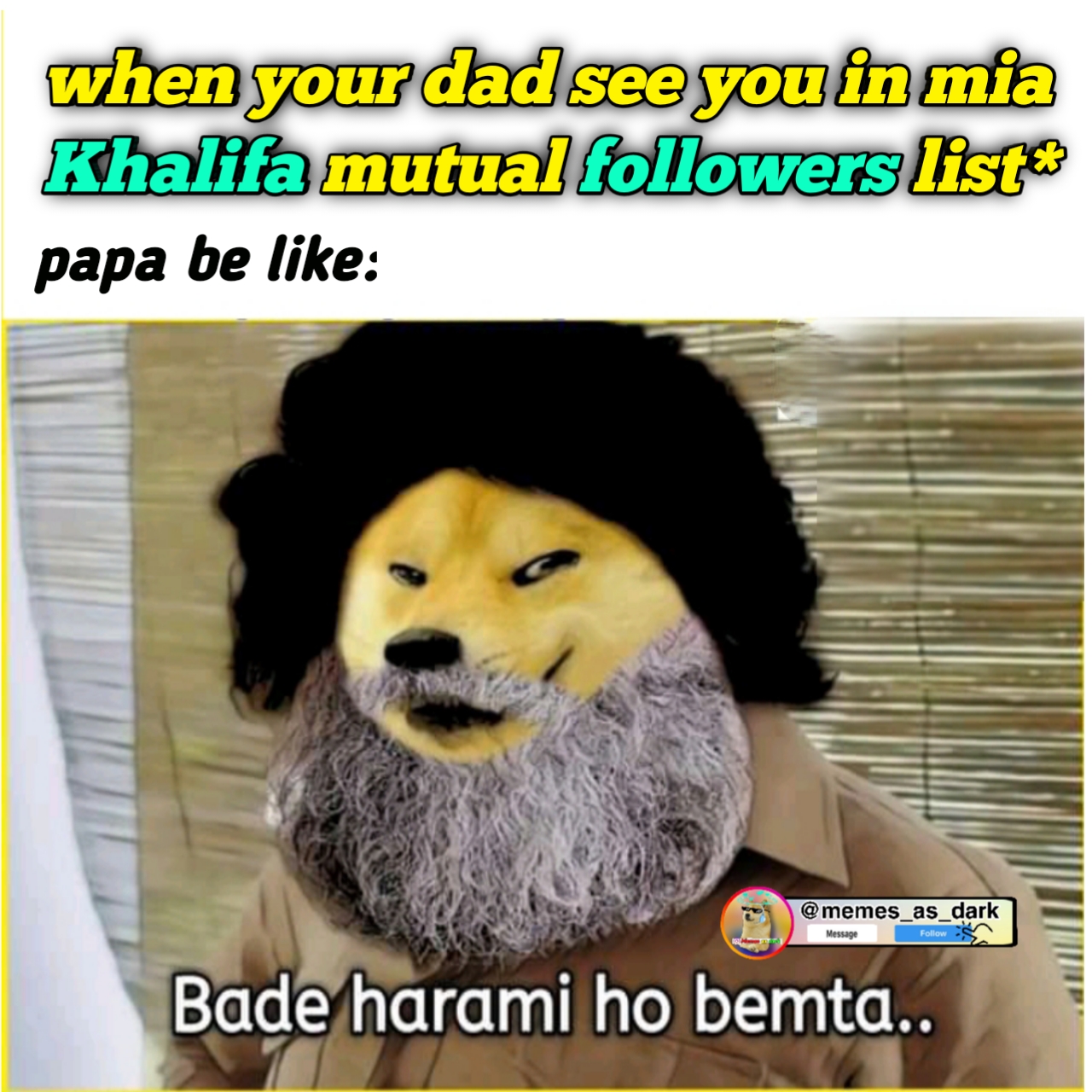 Doge and cheems memes