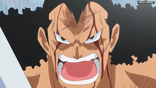 ワンピースアニメ ドレスローザ編 717話 キュロス 兵隊さん KYROS | ONE PIECE Episode 717