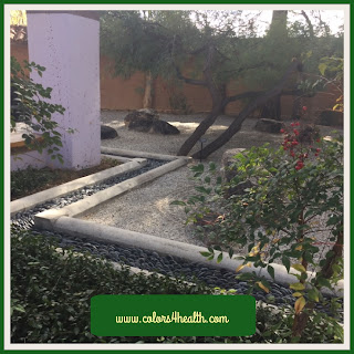 Zen Garden, Tucson Botanical Gardens