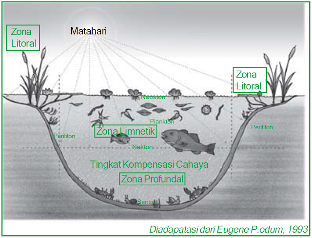 Skema pembagian zona ekosistem air tawar