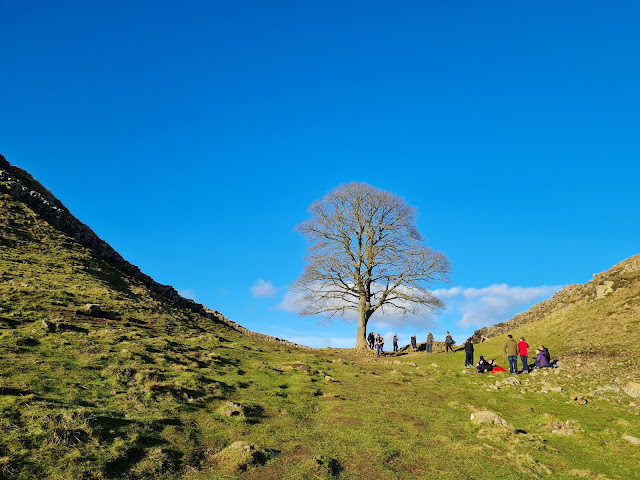 How to Walk to Sycamore Gap with Kids