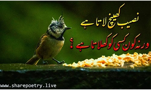 naseeb quotes in urdu - Chrya