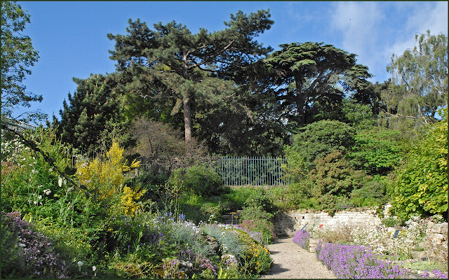 El jardín alpino del Jardin des Plantes