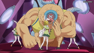 ワンピースアニメ WCI編 812話 チョッパー チョニキ Chopper キャロット CARROT | ONE PIECE Episode 812