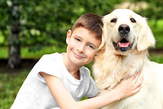 Beneficios que le aporta el perro al niño