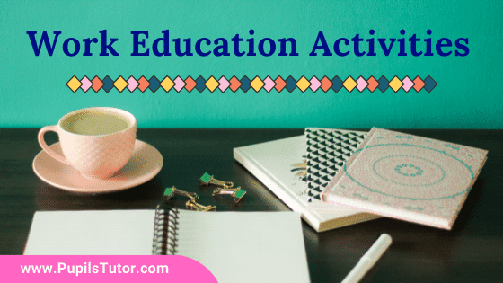 What Is Essential And Elective Activities In Work Education? | List Of Work Education Activities In Different Areas – Food, Health, Environment, Culture - pupilstutor