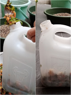 membuat cairan MOL