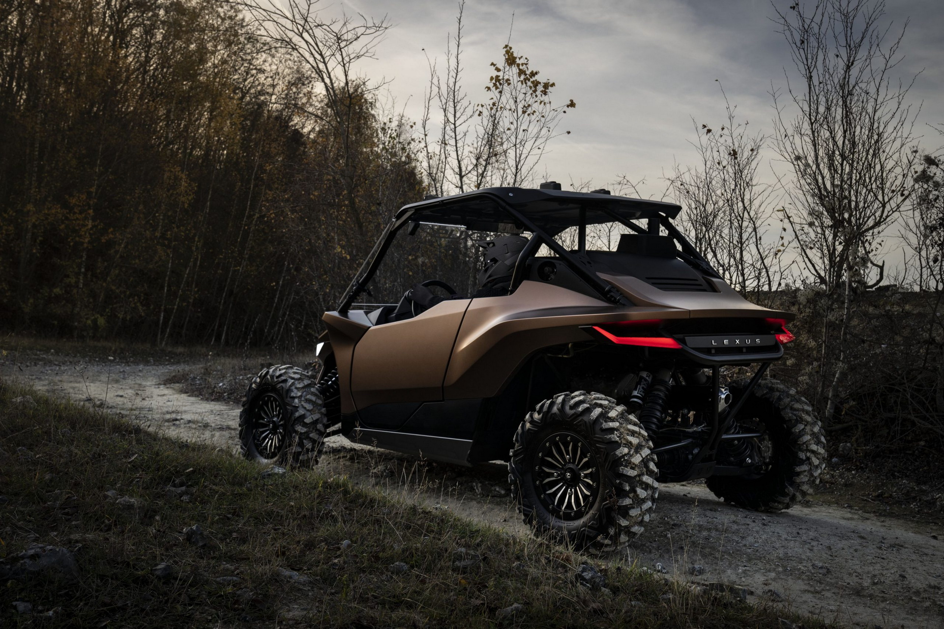 2021 Lexus ROV Concept
