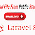 How to download files from public storage using on Laravel framework