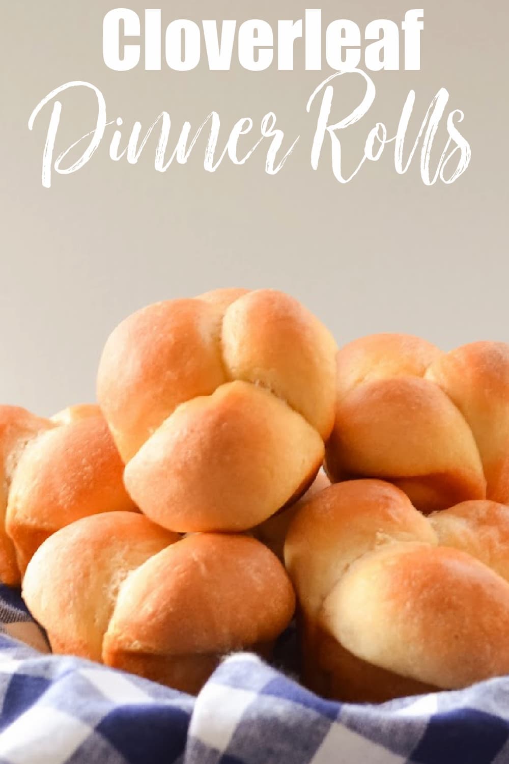 A basket full of Cloverleaf Dinner Rolls with white text at the top that says Cloverleaf Dinner Rolls.