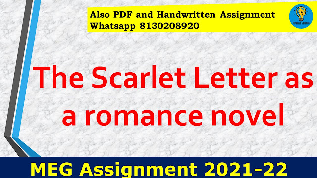 The Scarlet Letter as a romance novel