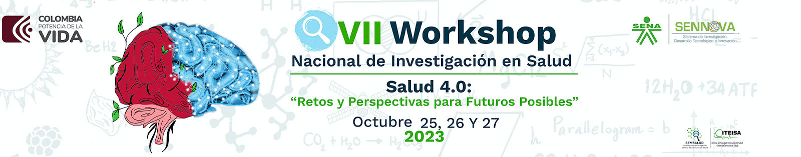 VII Workshop Nacional de Investigación en Salud