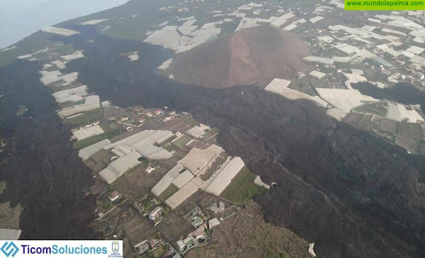 El Gobierno canario abona un primer anticipo de 13,5 millones para el sector platanero afectado por el volcán