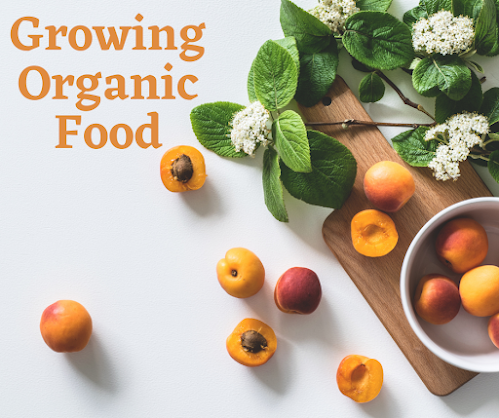 Growing Organic Food