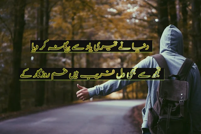 DUNIA NE TERI YAD SE BEGANA KAR DIA