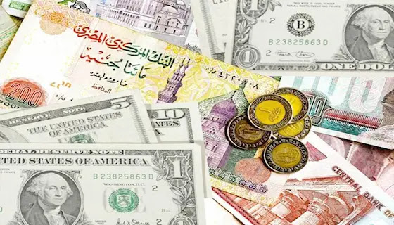 سعر الدولار فى البنوك المصرية