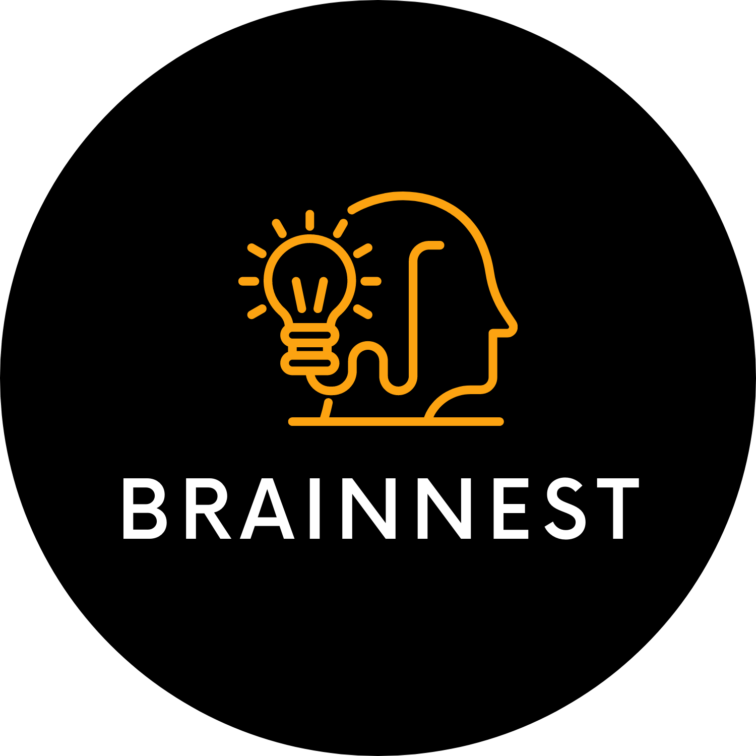 Intern/Junior Graphics Designer Internships at Brainnest Company