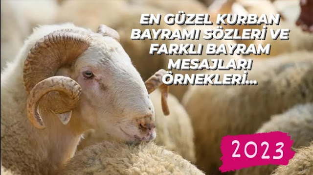 EN GÜZEL KURBAN BAYRAMI SÖZLERİ VE FARKLI BAYRAM MESAJLARI ÖRNEKLERI 2023