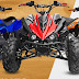 Reasons Why a Quad bike Australia Could Be a Good Idea for Your Kid