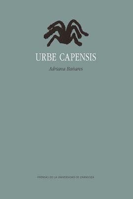 Urbe capensis