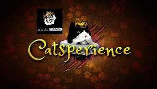 Download Catsperience game complete with crack