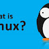 What is LINUX?