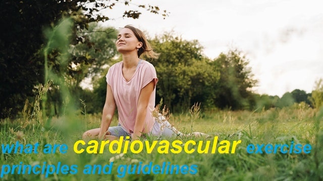 what are cardiovascular exercise principles and guidelines?