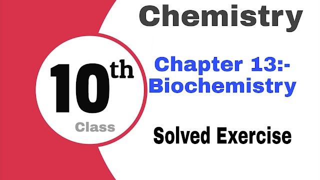 Class 10 Chemistry Chapter 13 Solved Exercise 