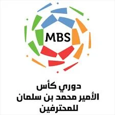 قروب واتساب الدوري السعودي للمحترفين