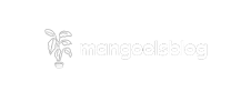 Mangools Blog