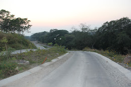 2008-2009 El Chivato, Colima