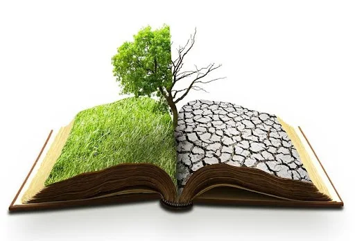 environmental literature essay