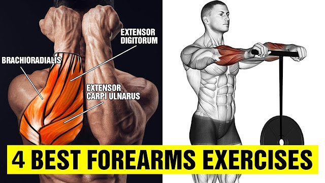 4 Best Exercises To Build Massive Forearms