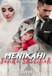 Baca Novel Menikahi Janda Salihah By Qasya PDF Full Episode