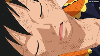 ワンピースアニメ ドレスローザ編 736話 ルフィ Monkey D. Luffy | ONE PIECE Episode 736