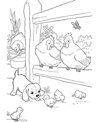 Cute Chicken Coloring Pages PDF for Children