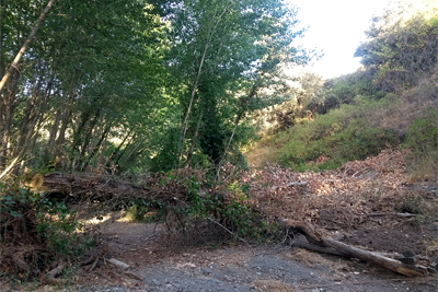 Pequeña 'barricada' tras cruzar el arroyo