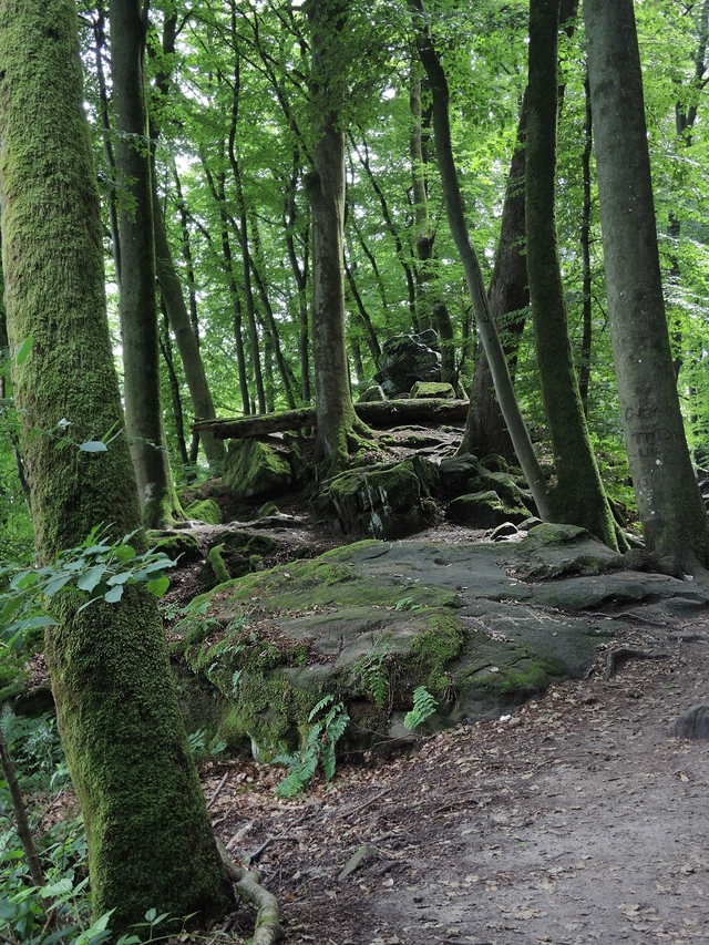 Trier: wandelen door de duivelskloof nabij Echternach