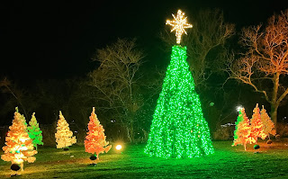 Display of outdoor Christmas trees