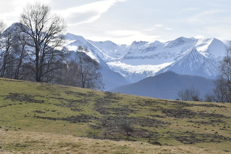 croix argent 1