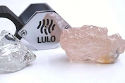 Berlian Pink Terbesar dalam 300 Tahun Ditemukan, Ini Penampakannya  