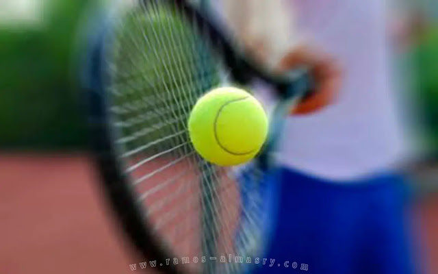 17 مضرب تنس موصى به - تقديم نماذج للمبتدئين والمتقدمين - مواصفات المضرب القانوني الدولي لرياضة التنس الأرضي
